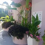 Hotel Mendos Garden Exclusive