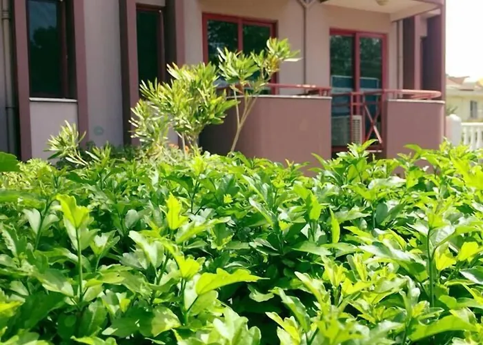 Mendos Garden Exclusive 3*