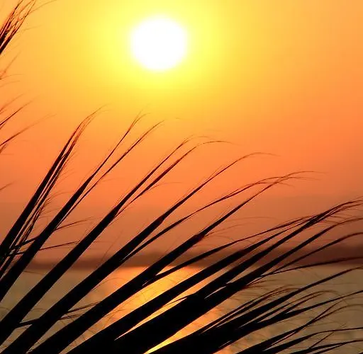 Hotel Mendos Garden Exclusive Fethiye